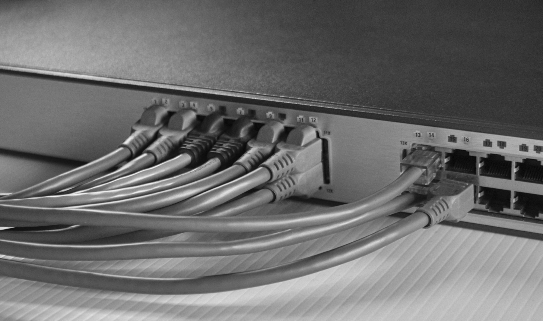 複数のLANケーブルが接続されたネットワークスイッチ